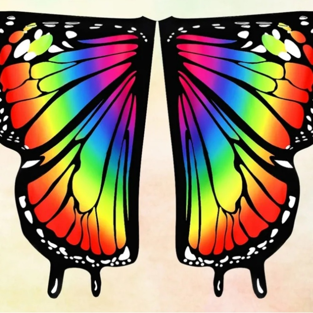 Colorful Butterfly Wings Costume